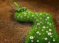 �����޸���������������